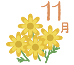 11月